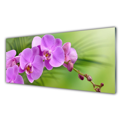 Obraz plexi Vstavač orchidea kvety