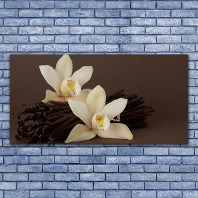 Obraz plexi Kvety vanilky do kuchyne