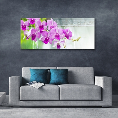 Obraz plexi Orchidey kvapky príroda