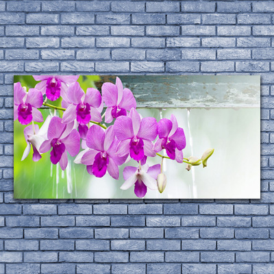 Obraz plexi Orchidey kvapky príroda