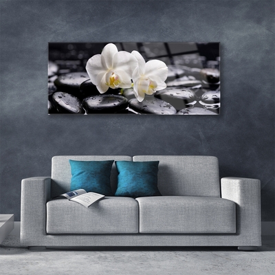 Obraz plexi Kamene zen biela orchidea