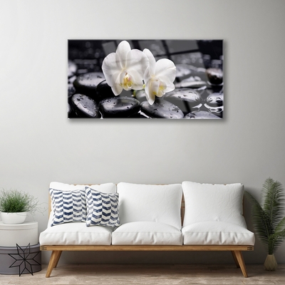 Obraz plexi Kamene zen biela orchidea