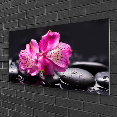 Obraz plexi Kvety kamene zen kúpele