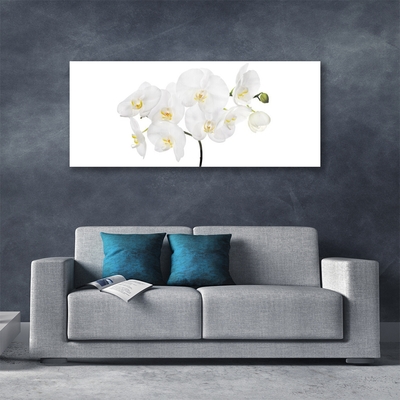Obraz plexi Biela orchidea kvety