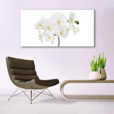 Obraz plexi Biela orchidea kvety