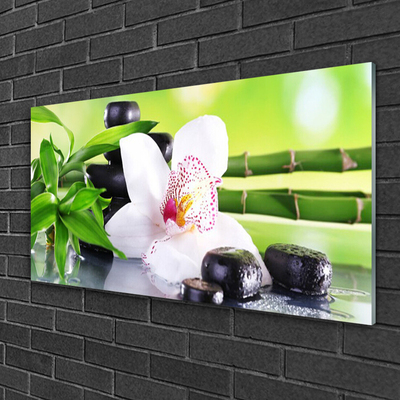 Obraz plexi Orchidea kamene zen bambus