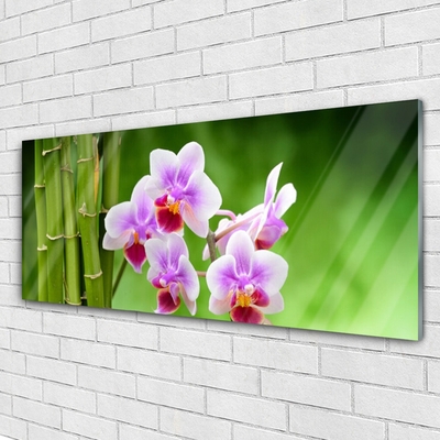 Obraz plexi Bambus orchidea kvety zen