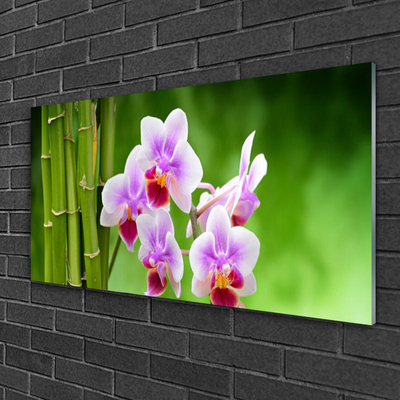 Obraz plexi Bambus orchidea kvety zen
