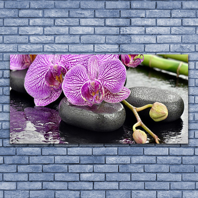Obraz plexi Kamene zen orchidea kúpele