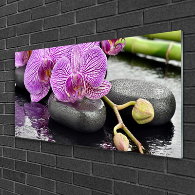 Obraz plexi Kamene zen orchidea kúpele