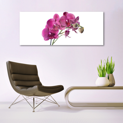 Obraz plexi Orchidea kvety príroda