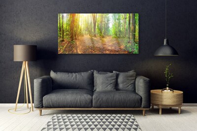 Obraz plexi Slnko príroda lesné chodník