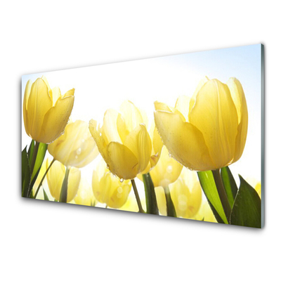 Obraz plexi Tulipány kvety lúče