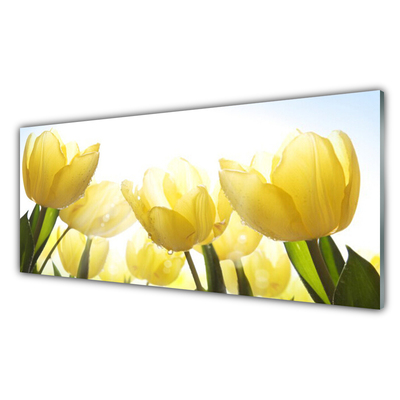 Obraz plexi Tulipány kvety lúče