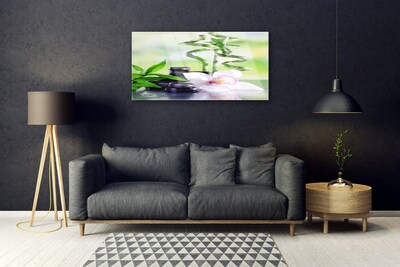 Obraz plexi Orchidea bambus zen kúpele