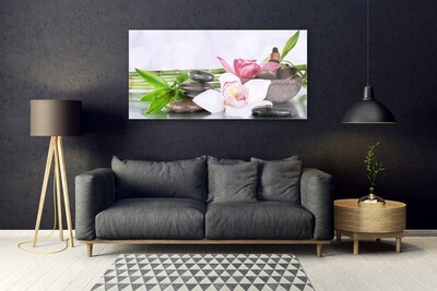 Obraz plexi Orchidea kamene bambus