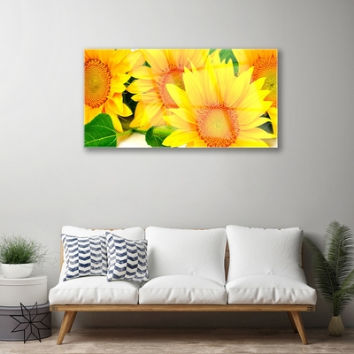 Obraz plexi Slnečnica kvet príroda