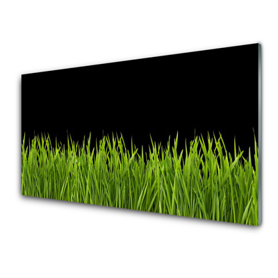 Obraz plexi Zelená tráva príroda