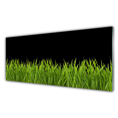 Obraz plexi Zelená tráva príroda
