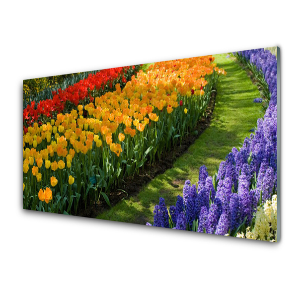 Obraz plexi Kvety záhrada tulipány