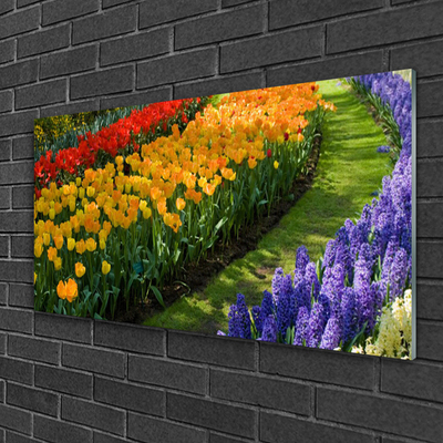 Obraz plexi Kvety záhrada tulipány