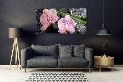 Obraz plexi Kvety orchidea kamene zen