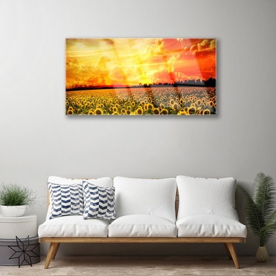 Obraz plexi Lúka slnečnica kvety
