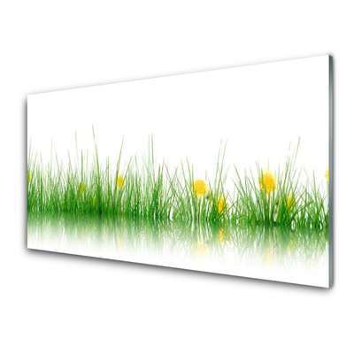 Obraz plexi Príroda tráva kvety