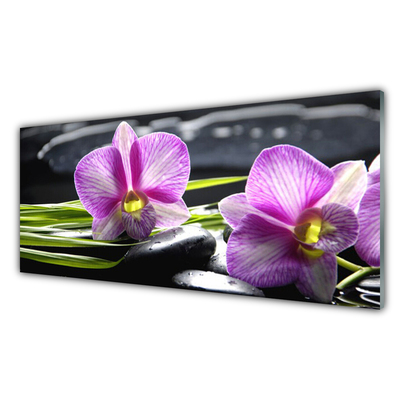 Obraz plexi Orchidea kamene zen kúpele
