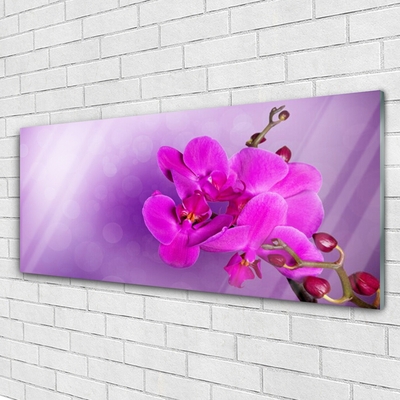 Obraz plexi Kvety plátky orchidea