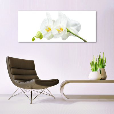Obraz plexi Plátky kvet bíla orchidea