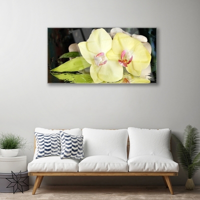 Obraz plexi Okvetné plátky orchidea