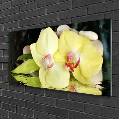 Obraz plexi Okvetné plátky orchidea