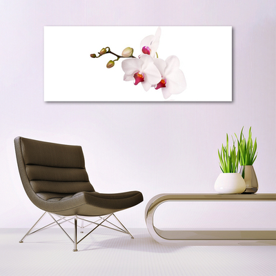 Obraz plexi Kvety príroda orchidea