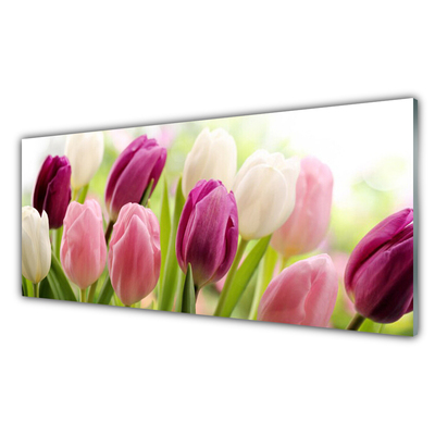 Obraz plexi Tulipány kvety príroda lúka