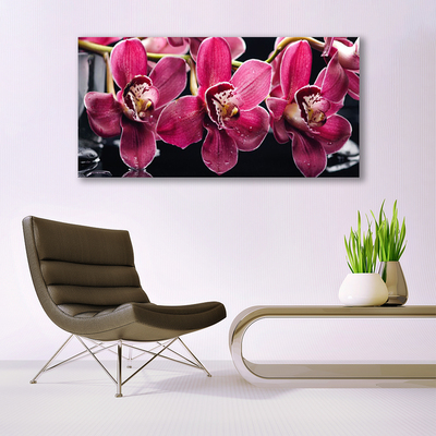 Obraz plexi Kvety orchidey výhonky príroda