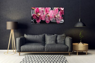 Obraz plexi Kvety orchidey výhonky príroda