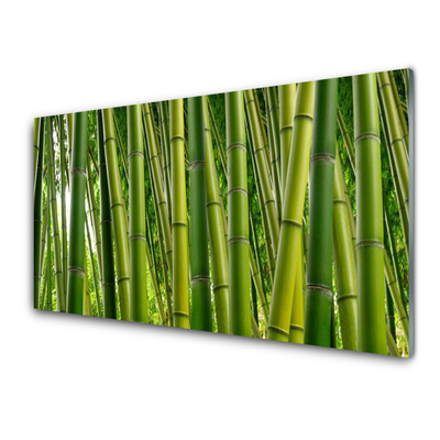 Obraz plexi Bambusový les bambusové výhonky