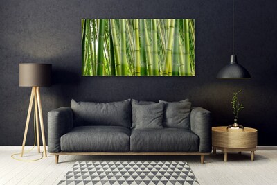 Obraz plexi Bambusový les bambusové výhonky