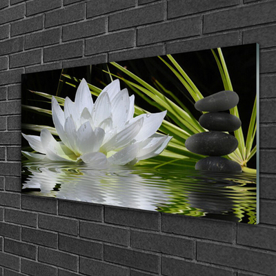 Obraz plexi Kvety kamene zen voda