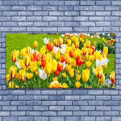 Obraz plexi Tulipány kvety príroda
