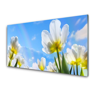 Obraz plexi Rastliny kvety tulipány