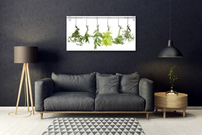 Obraz plexi Listy príroda byliny