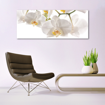Obraz plexi Orchidea kvety príroda