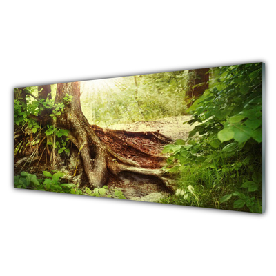 Obraz plexi Strom kmeň príroda les