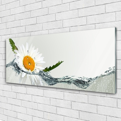 Obraz plexi Sedmokráska vo vode