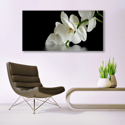 Obraz plexi Orchidea vo vode kvety