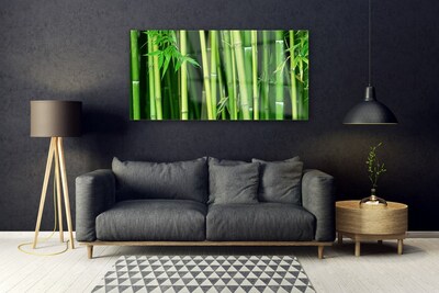 Obraz plexi Bambusový les bambus príroda