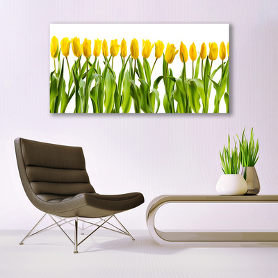 Obraz plexi Tulipány kvety príroda