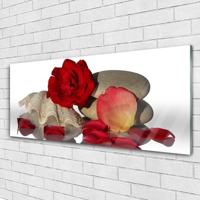 Obraz plexi Ruže plátky mŕtva príroda